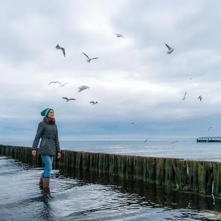 Haus Strandmuschel Διαμέρισμα